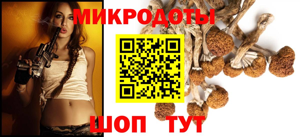 Галлюциногенные грибы Cubensis  Псилоцибиновые грибы Psilocybe  Шарыпово  Вход с VPN 