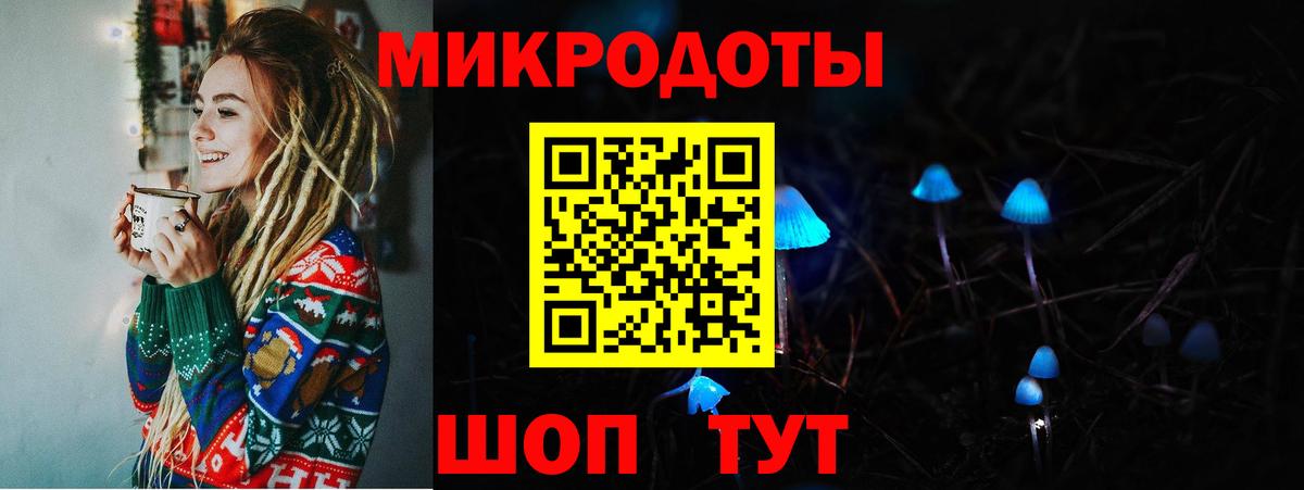 Галлюциногенные грибы Psilocybine cubensis Шарыпово